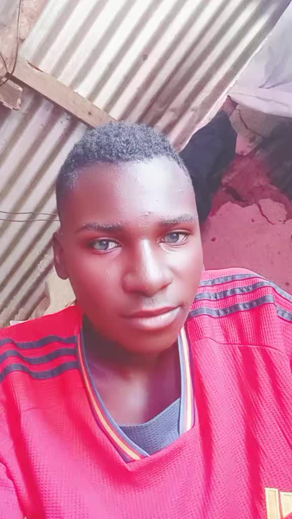 @dogo mallo 19
