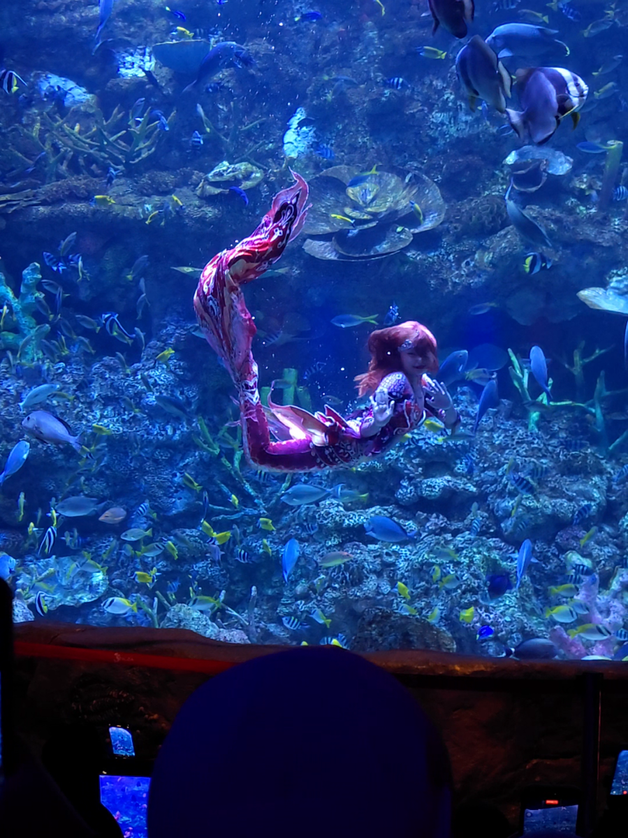 @Mermaid Cryztal