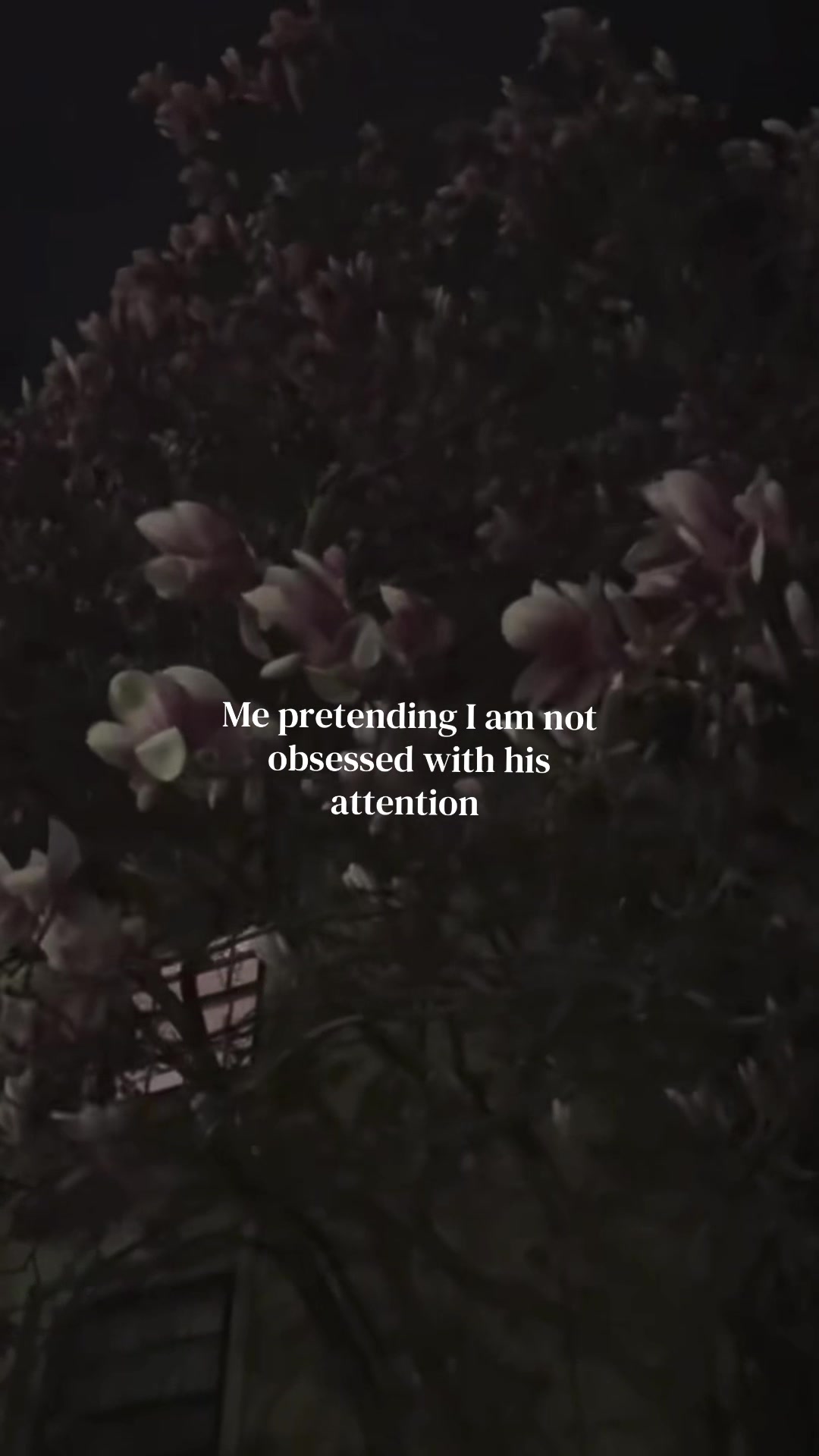 @….