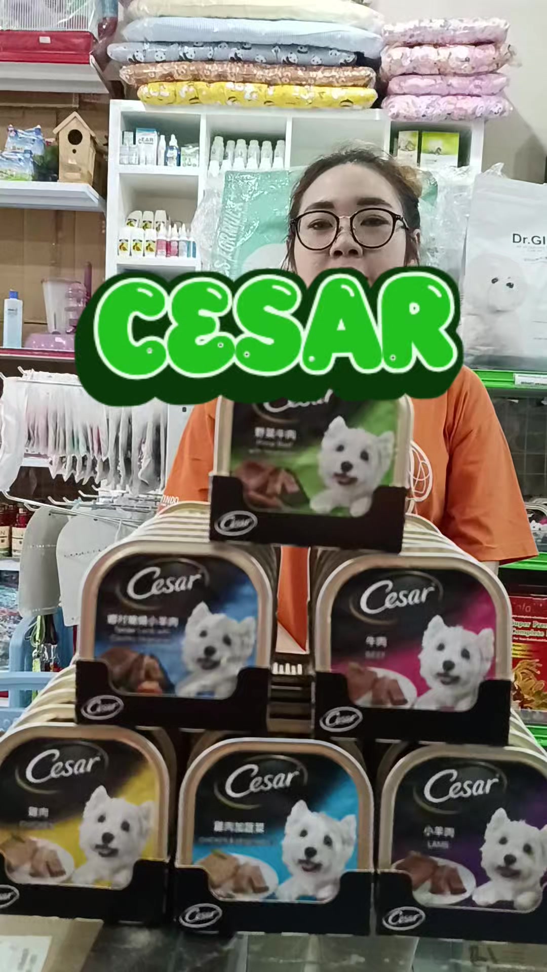 @Pochi Petstore