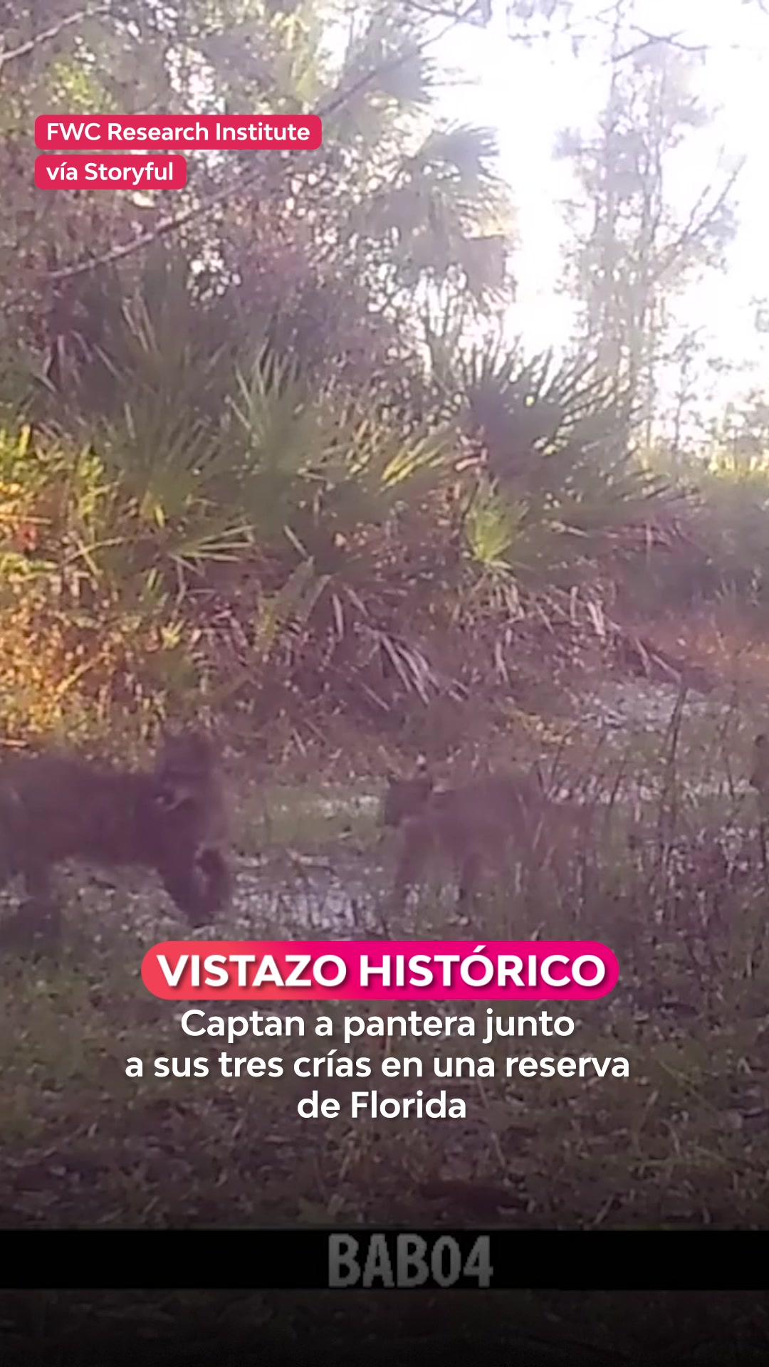 @Televisión Nacional de Chile