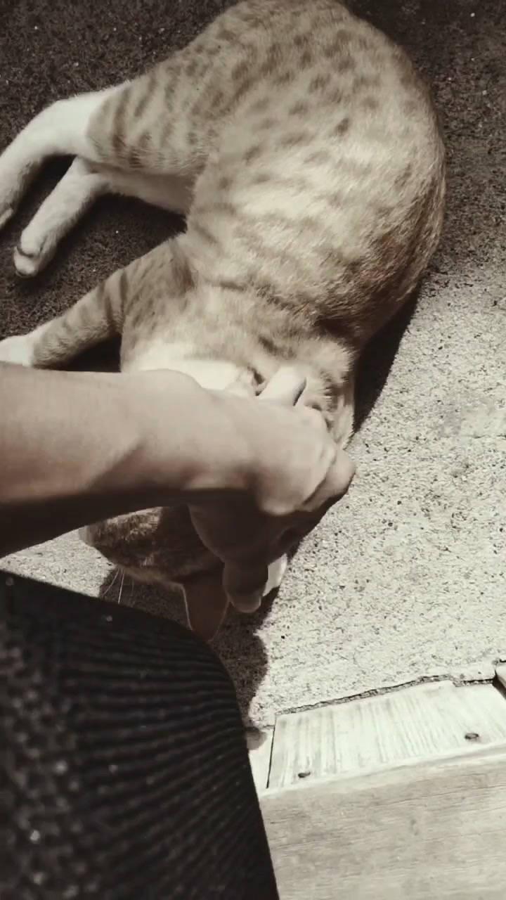 @Rin.