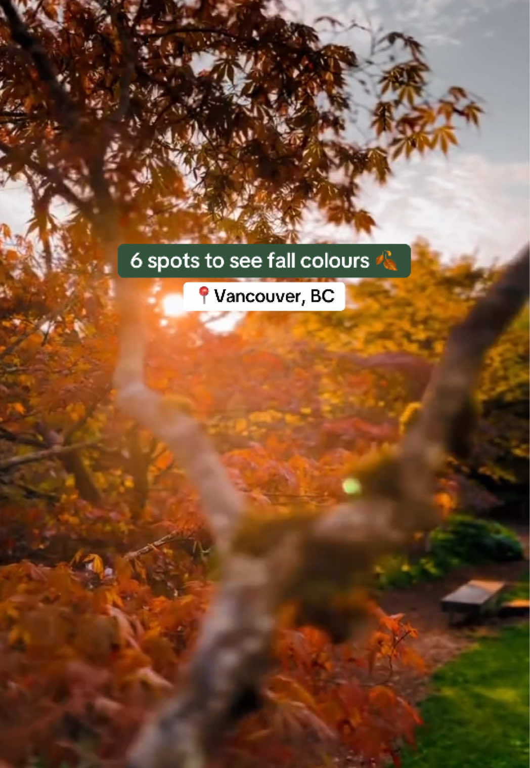 @Super, Natural BC