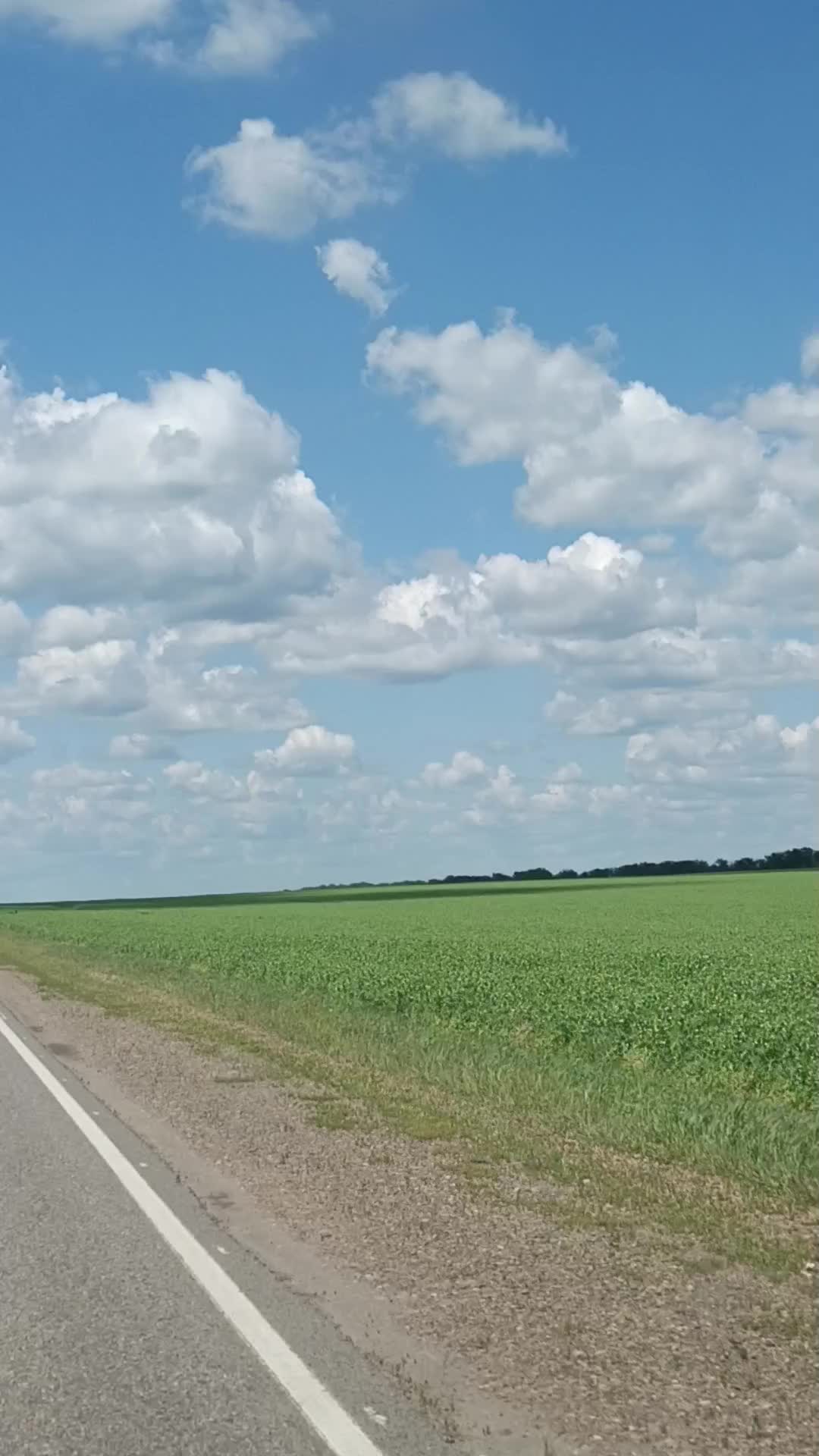 @Ольга