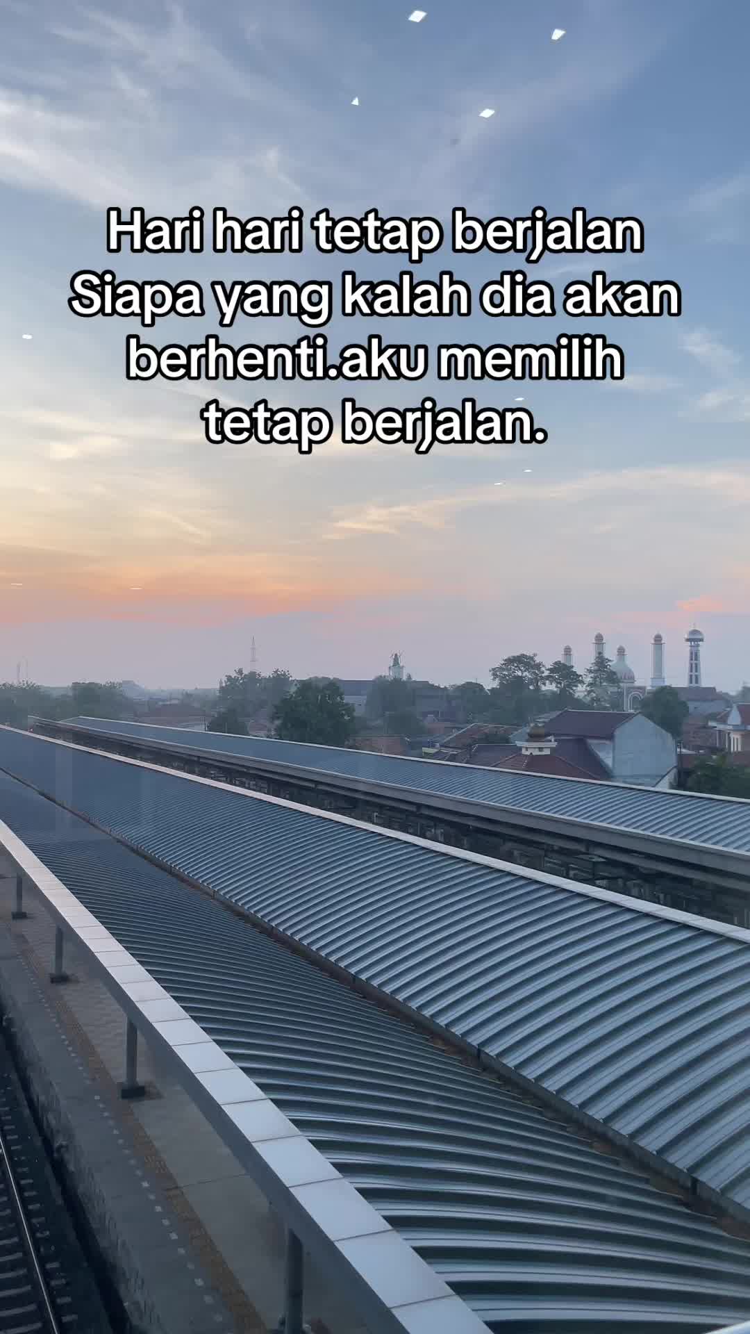@Rapunzelbtk🥰