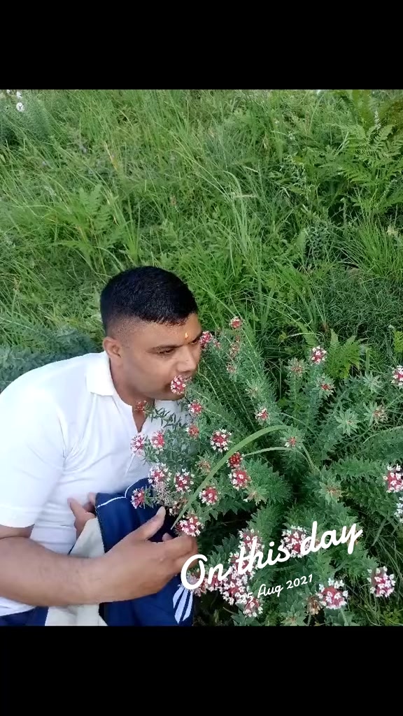@Barm Rokaya