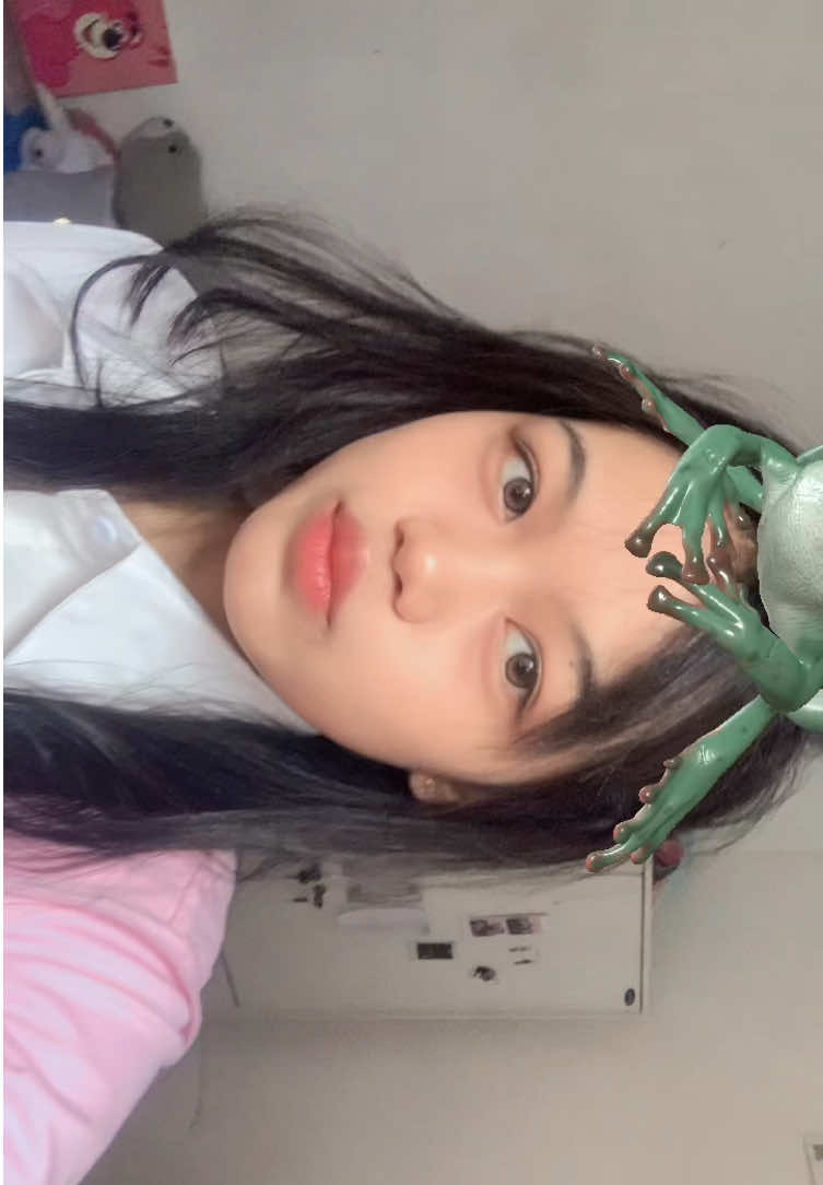 @anin.