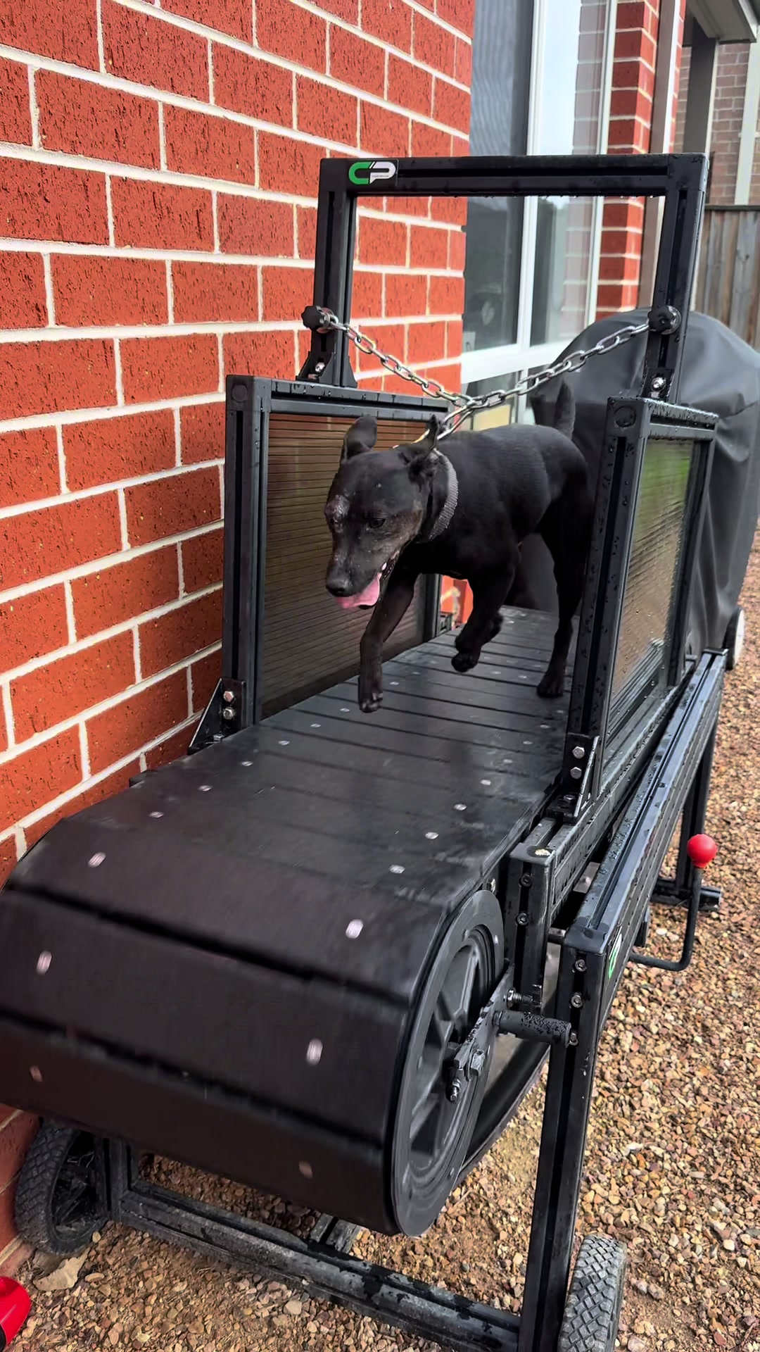 @chaseprodogtreadmills