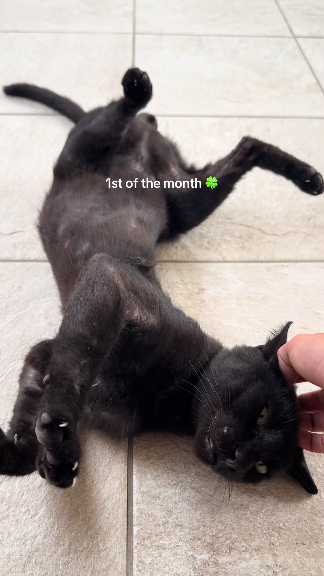 @Gaiacalabrese