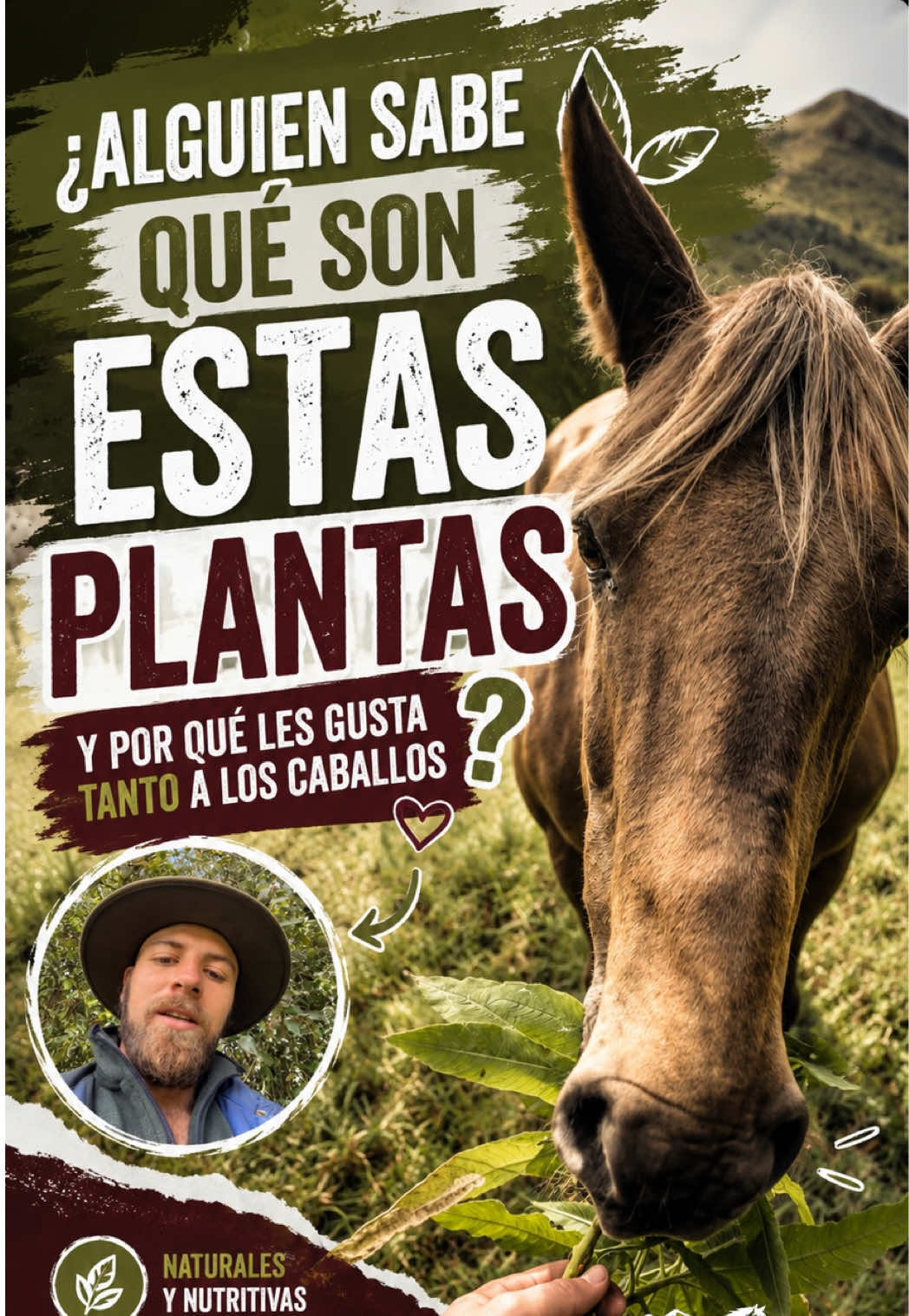 @Álvaro Meneses