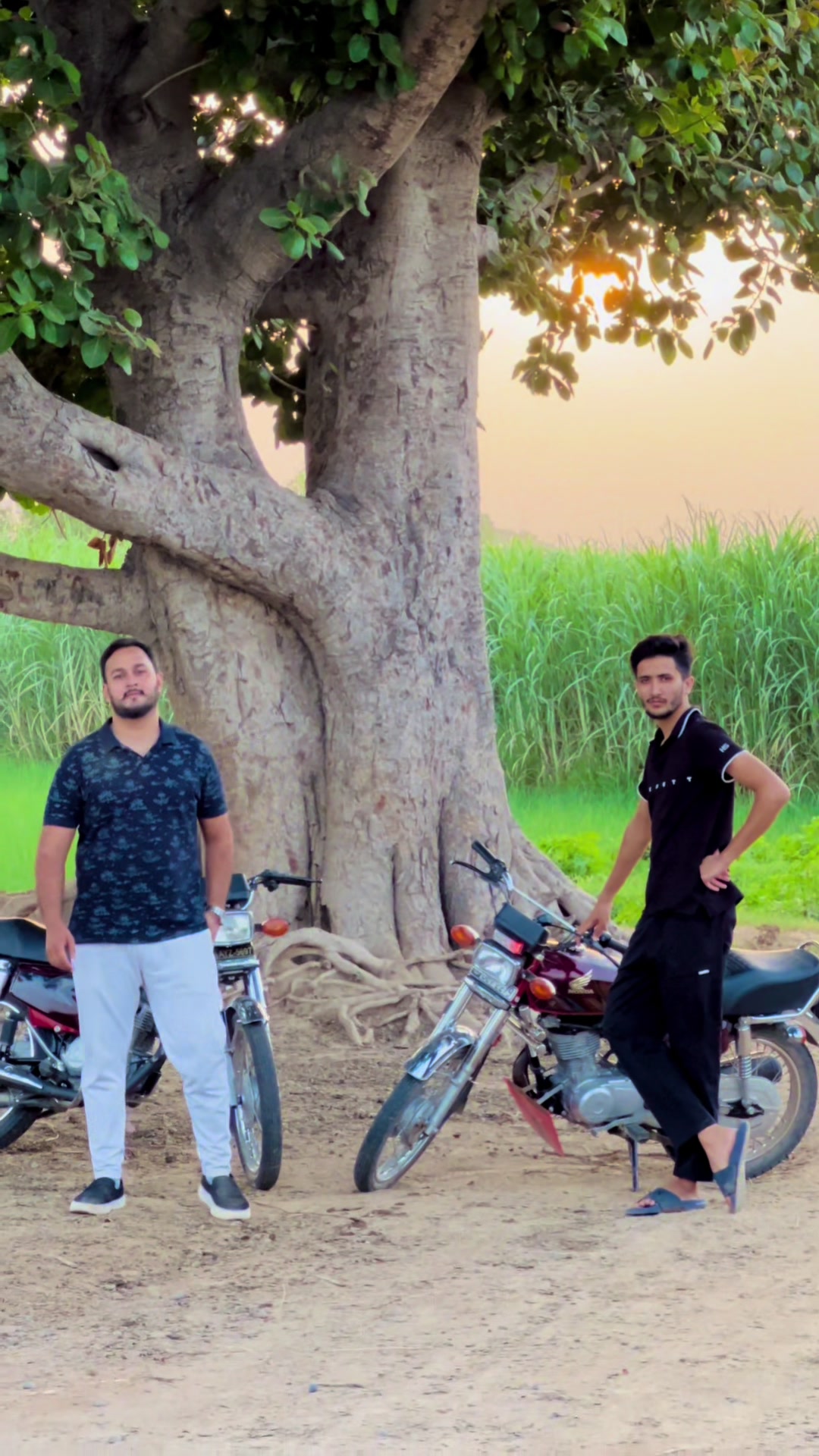 @Sardar Abdullah Bajwa 185