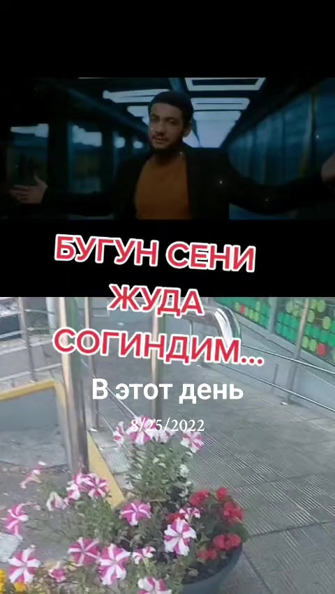 @shoira2281