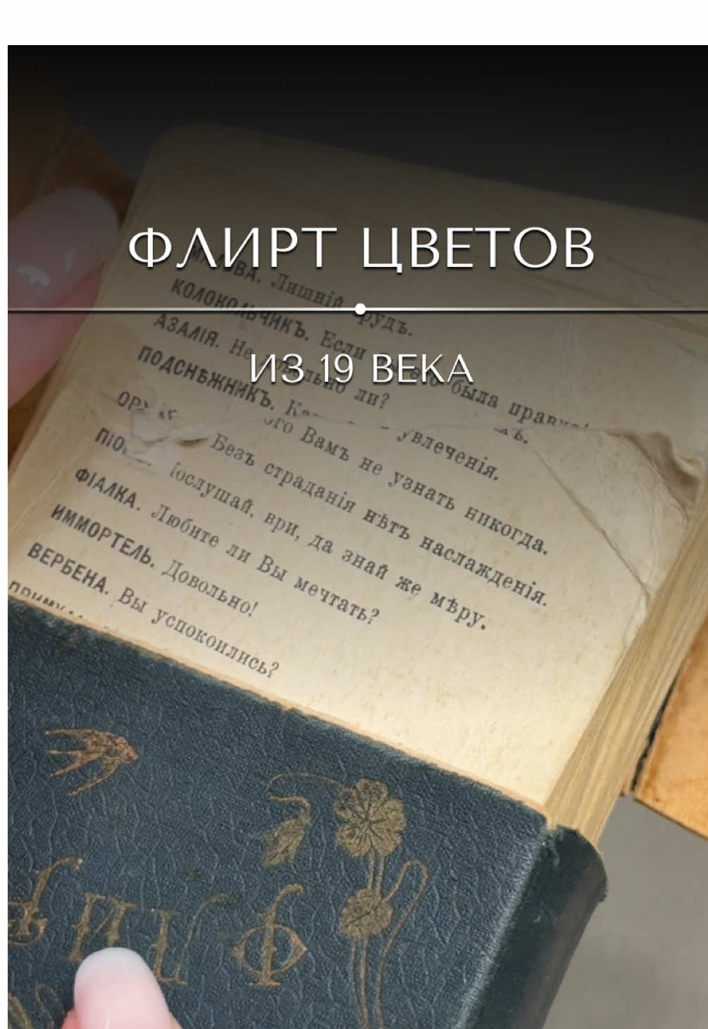 @&laquo;Ваш реставратор&raquo;