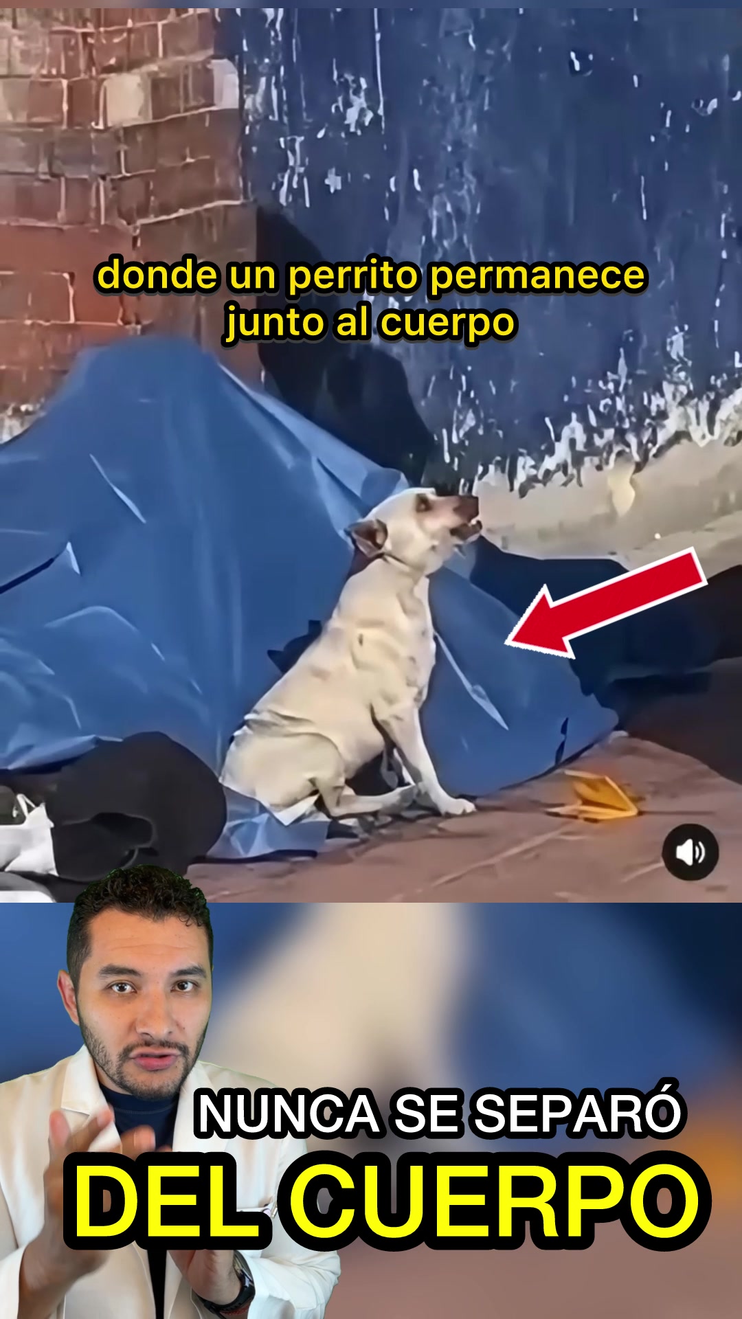 @Investigador Forense