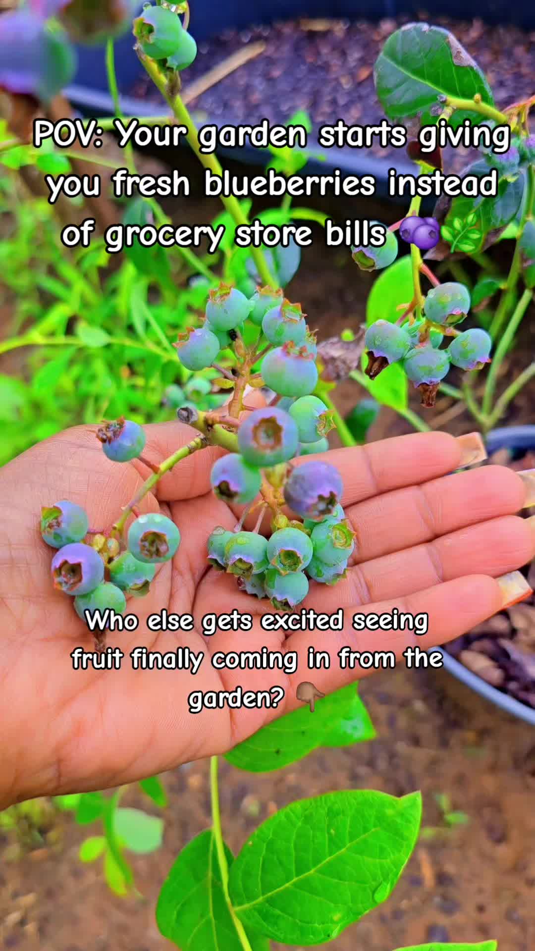 @Meakahomestead_00