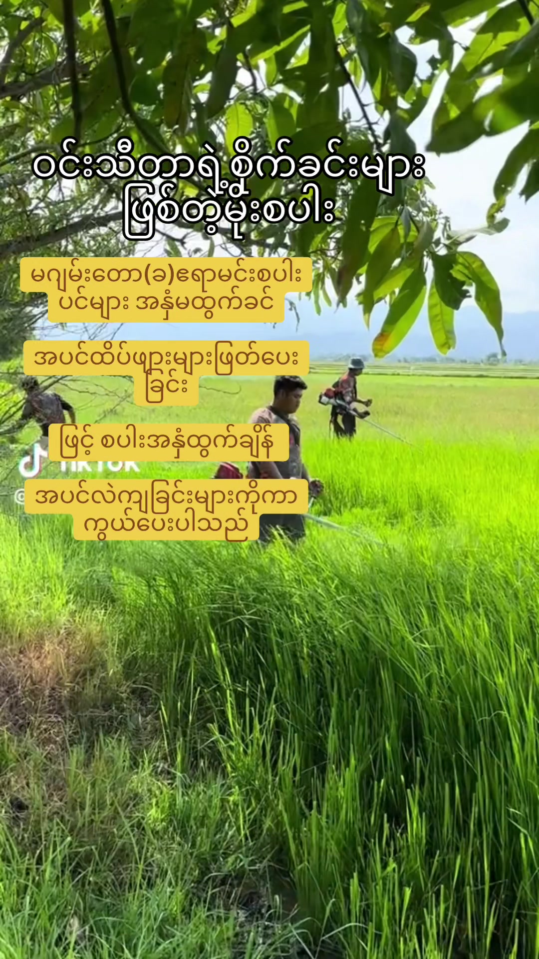 @ဝင်းသီတာဆန်စက်09/757 997 274