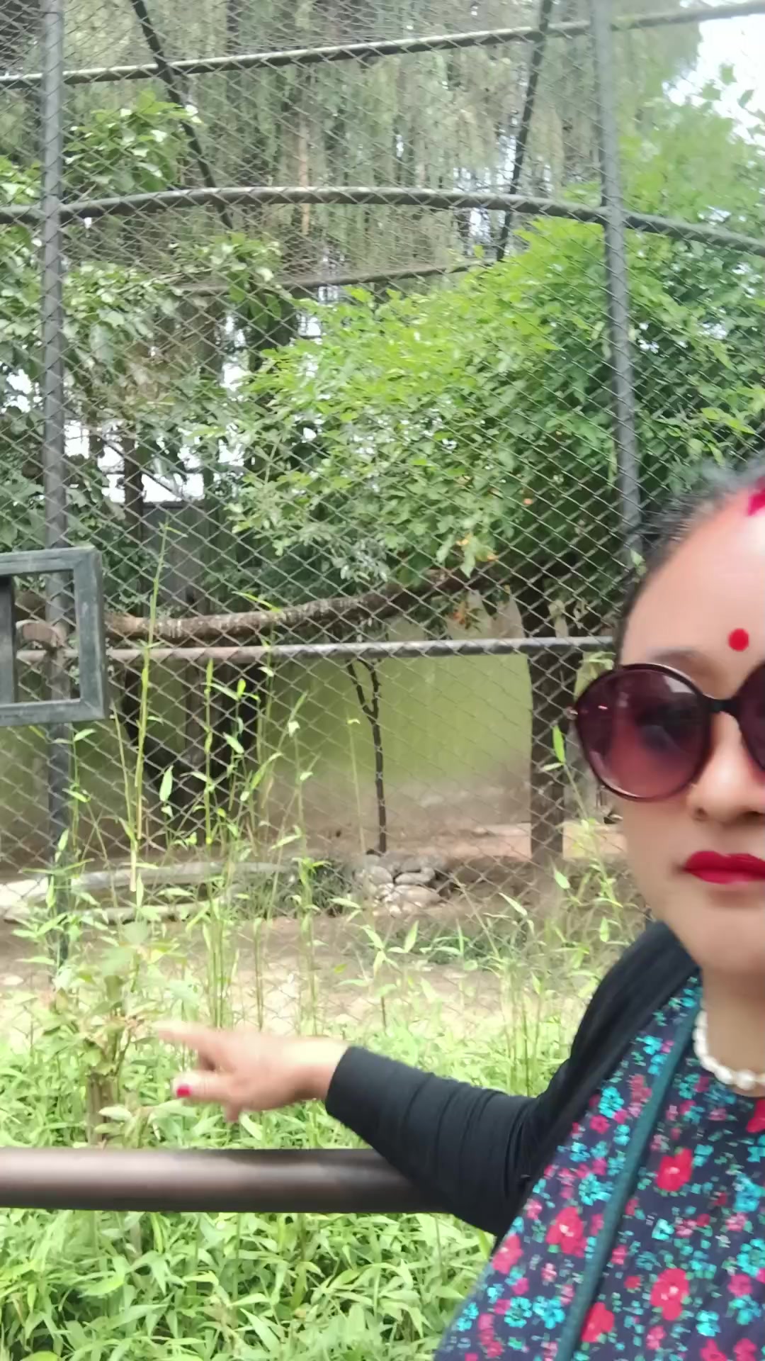@Bina rai