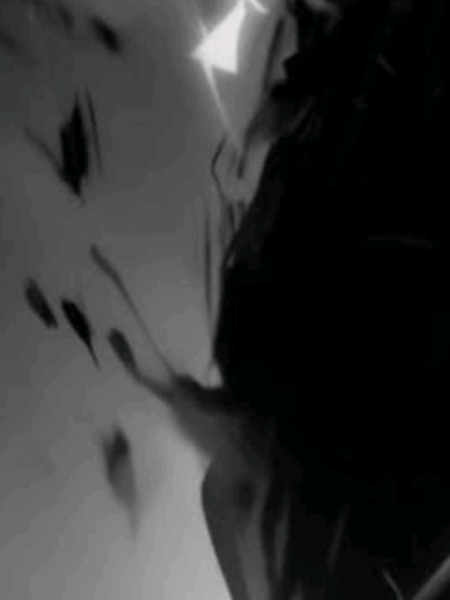 @𝙱𝙸𝙰 𝙻𝚢𝚛𝚒𝚌𝚜𖦤