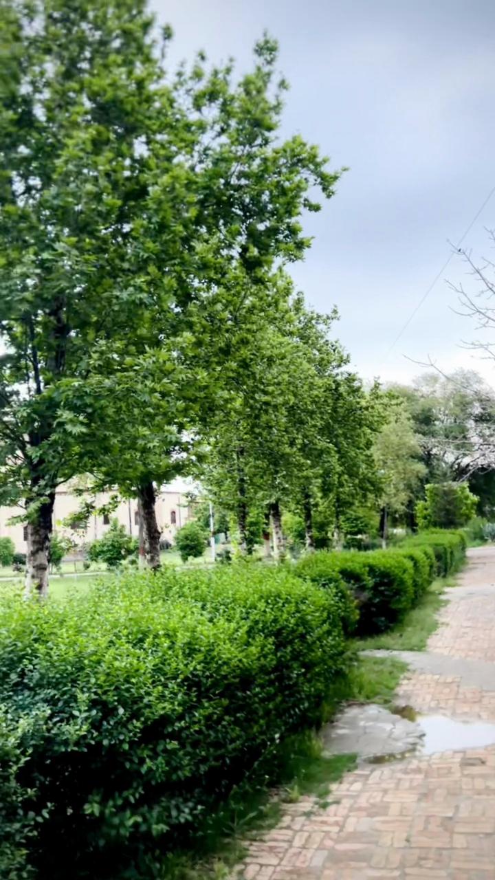 @it`s-Hebii