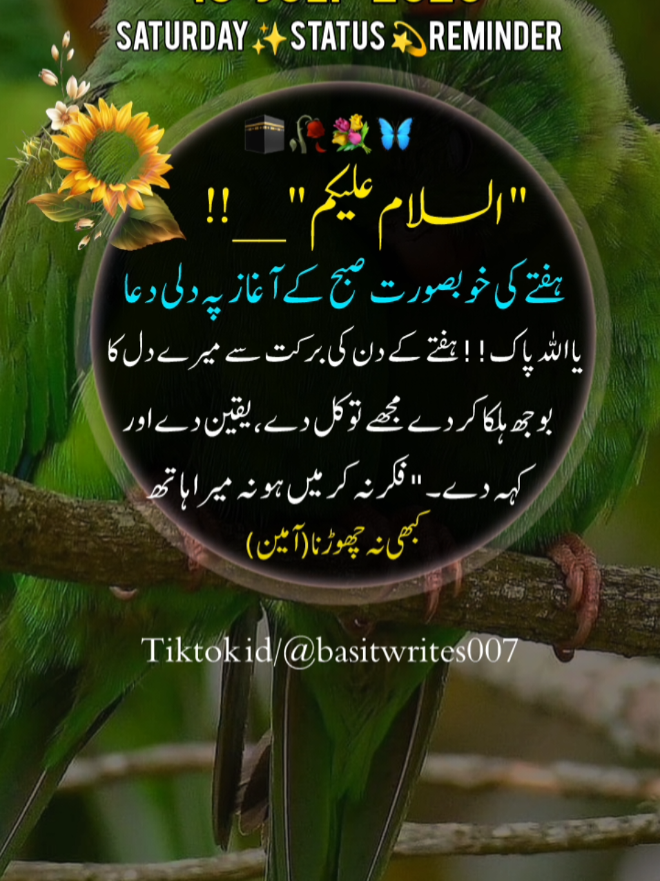 @basitwrites007
