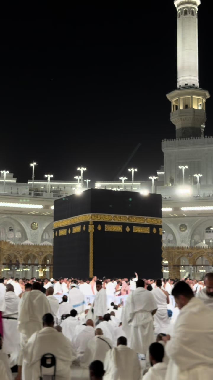 @عـمـار بن سعيد ✨