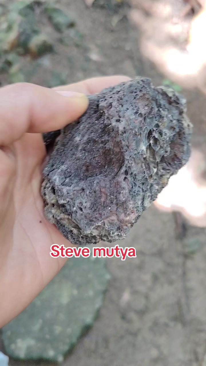 @Steve Mutya