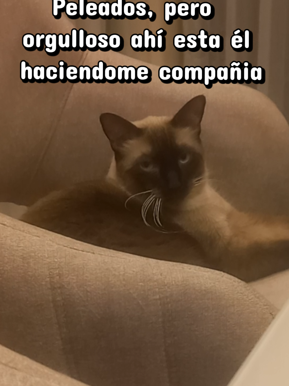 @El Profe Ferr&iacute;n