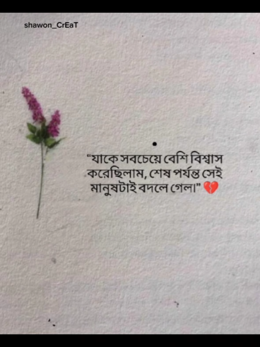 @SABRIAR (EXTRA)☑️