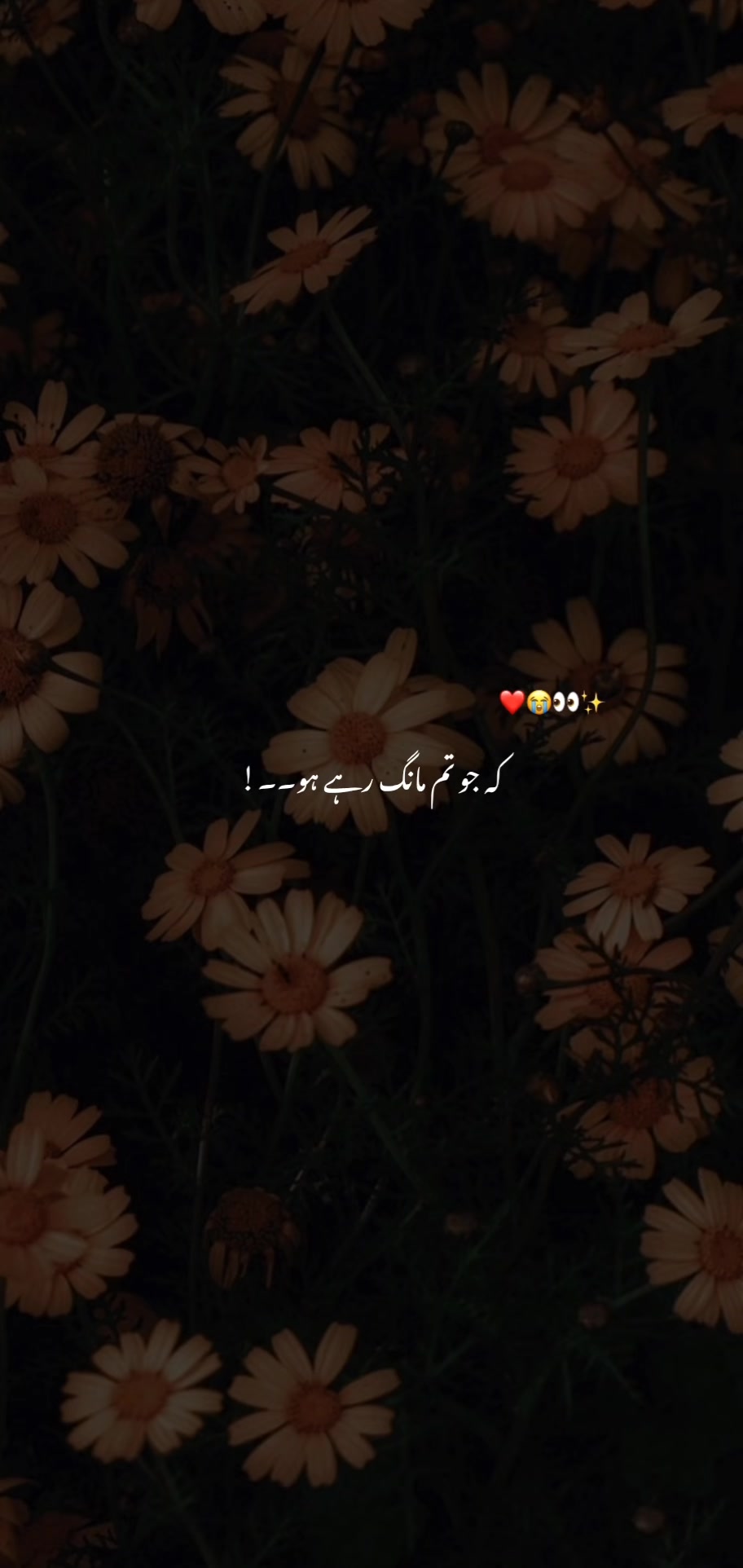 @๐๐ผ๐ผ๐ฟ ๐๐ฟ๐๐๐ ๐ท