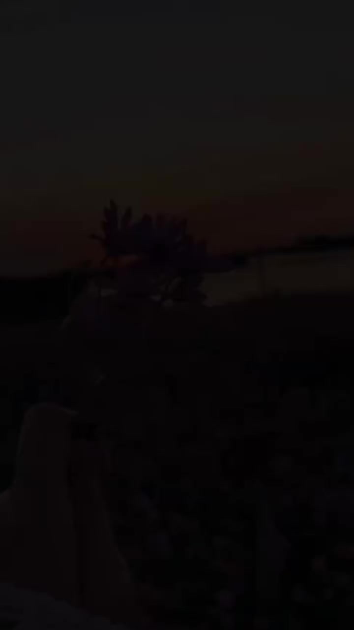@ᦓꪀꫀꫝꪖ