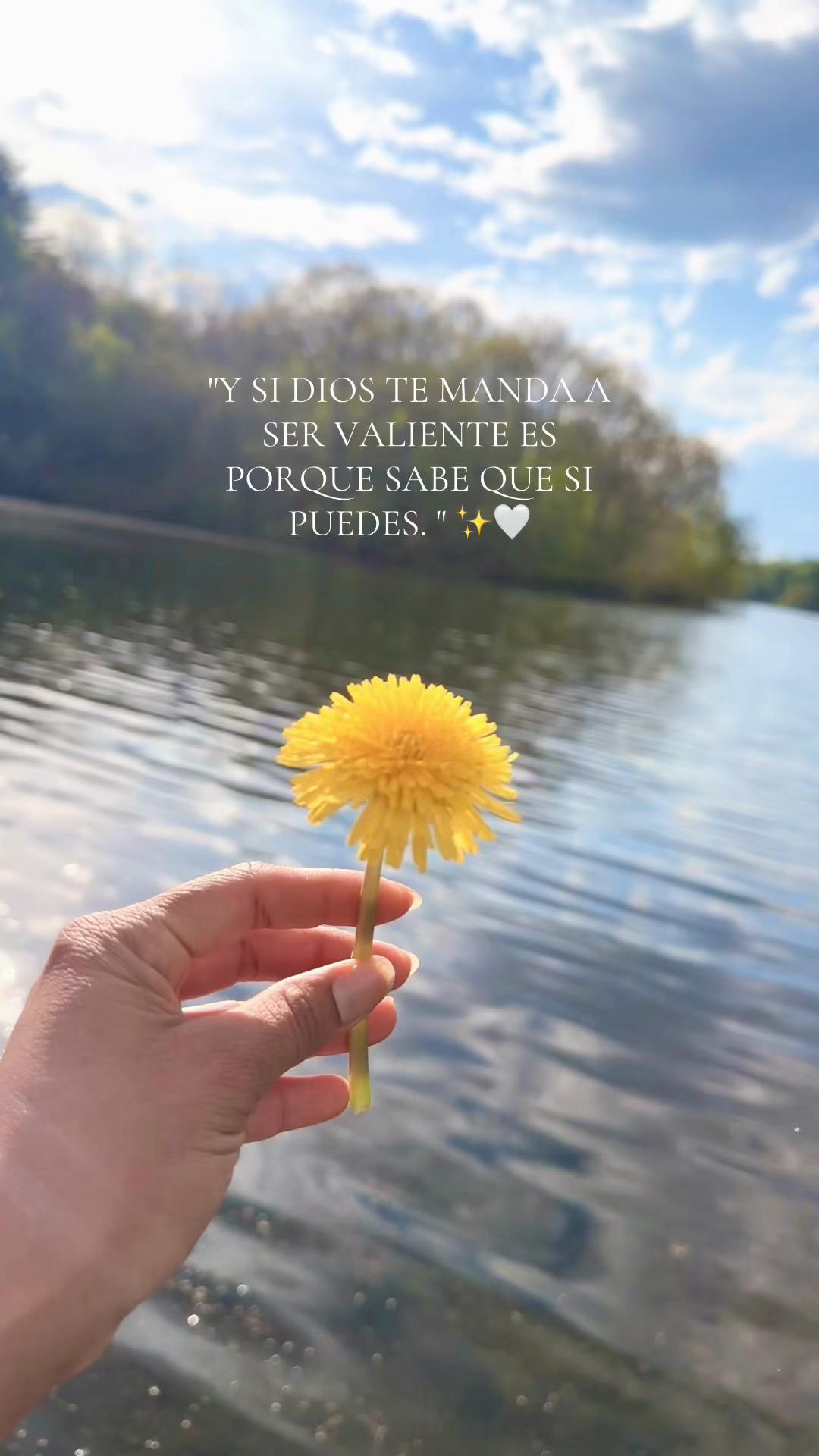 @ℛ𝑜𝓊𝓈 ꫂ ၴႅၴ⋆.𐙚 ̊