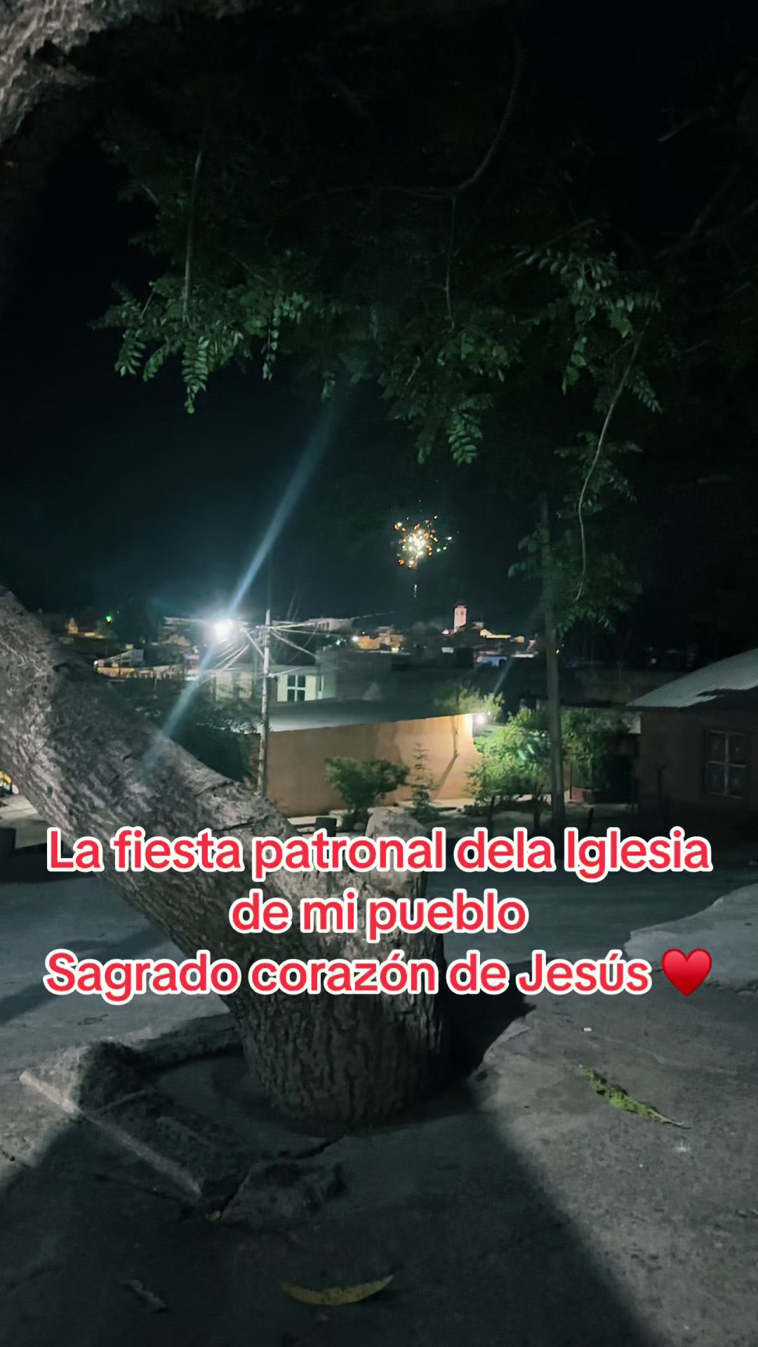 @Maria teresa Cruz sevilla
