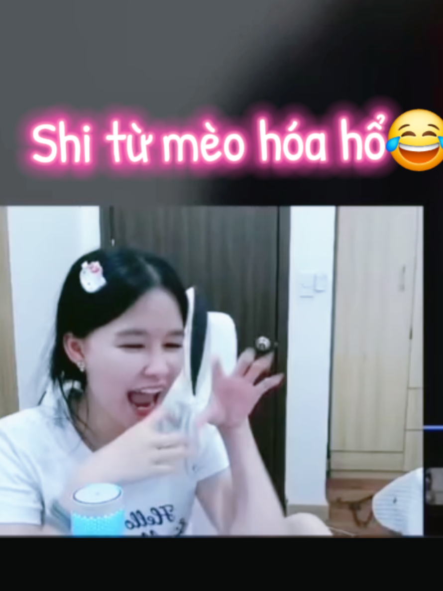 @Cây Dừa Miền Tây🌴