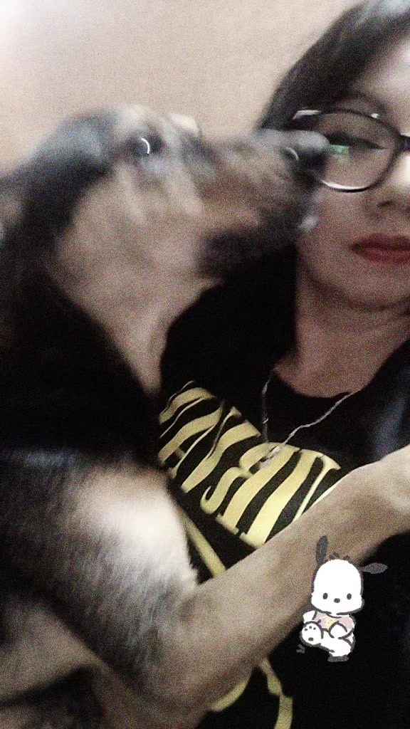 @Severus/Sparky 🐶🐶