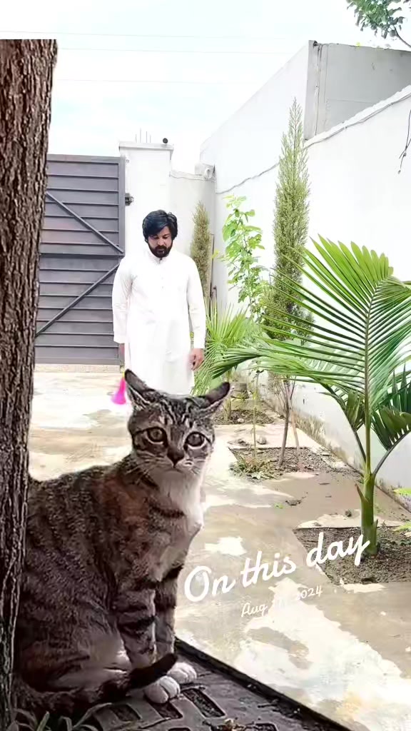 @Ishaq pkvines