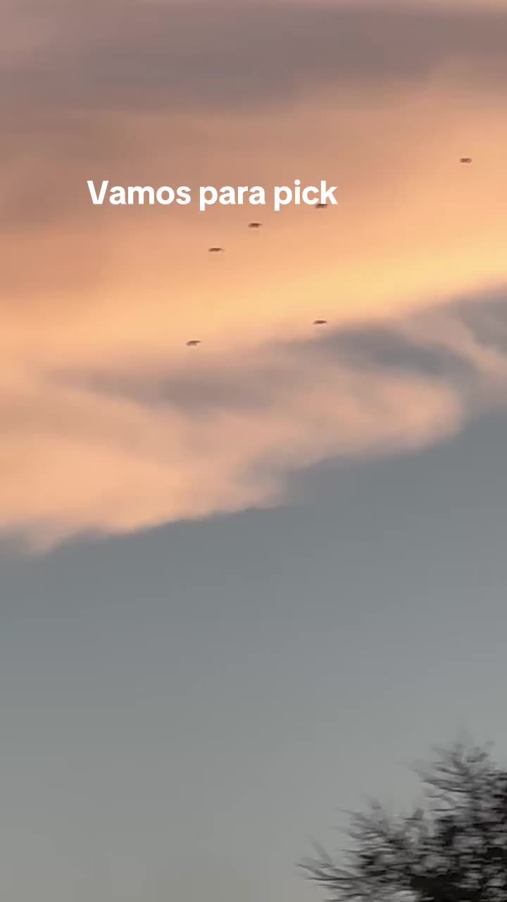 @elchingon640