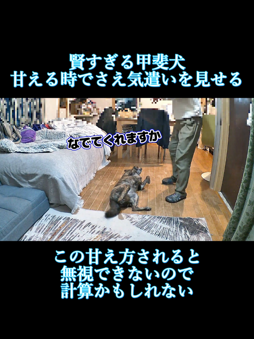 @川沿いに歩く妻サヲル
