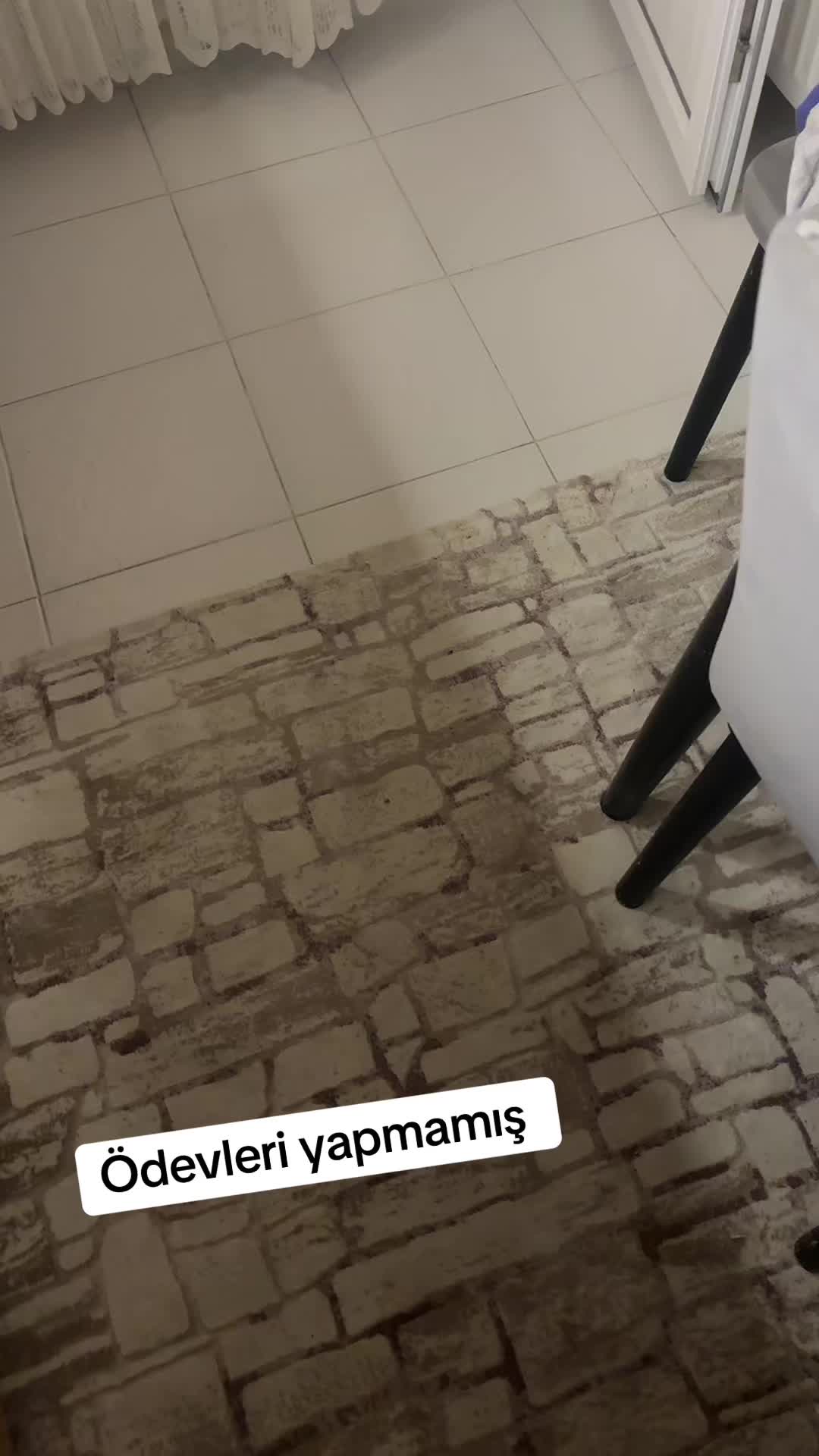 @Dilara Özçelik ރ❌