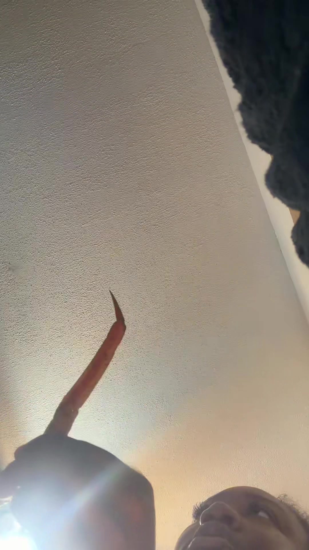 @worldoftali