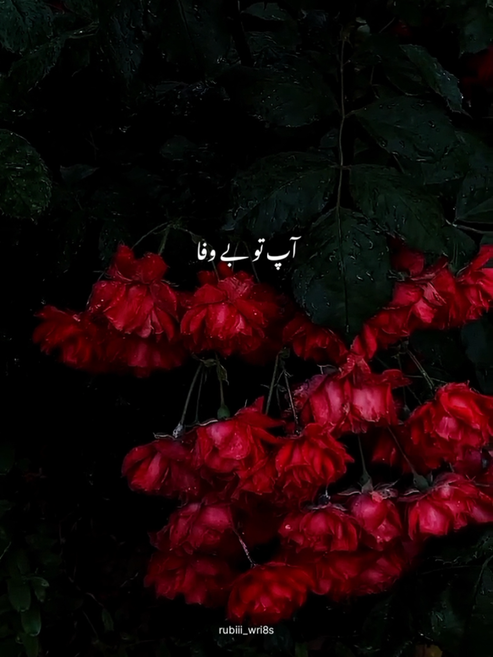@❤︎ℝ𝕦𝕓𝕚𝕚❤︎