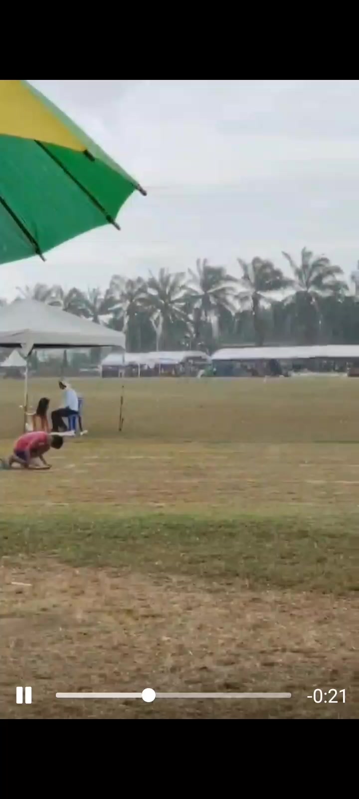 @飛龍