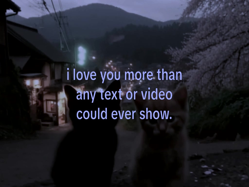 @see you later