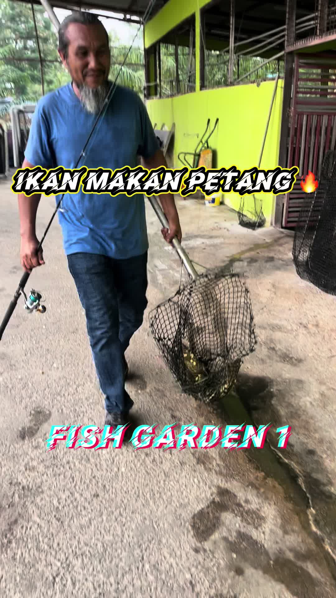 @M Z Reel 🎣