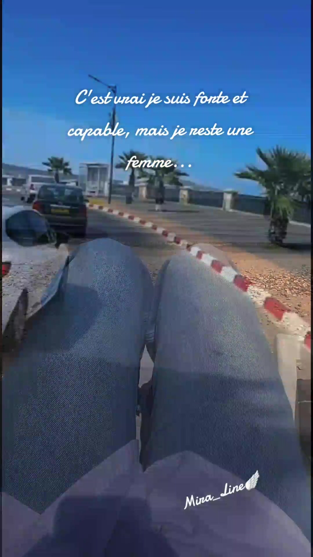 @👑Mira_Line🪽