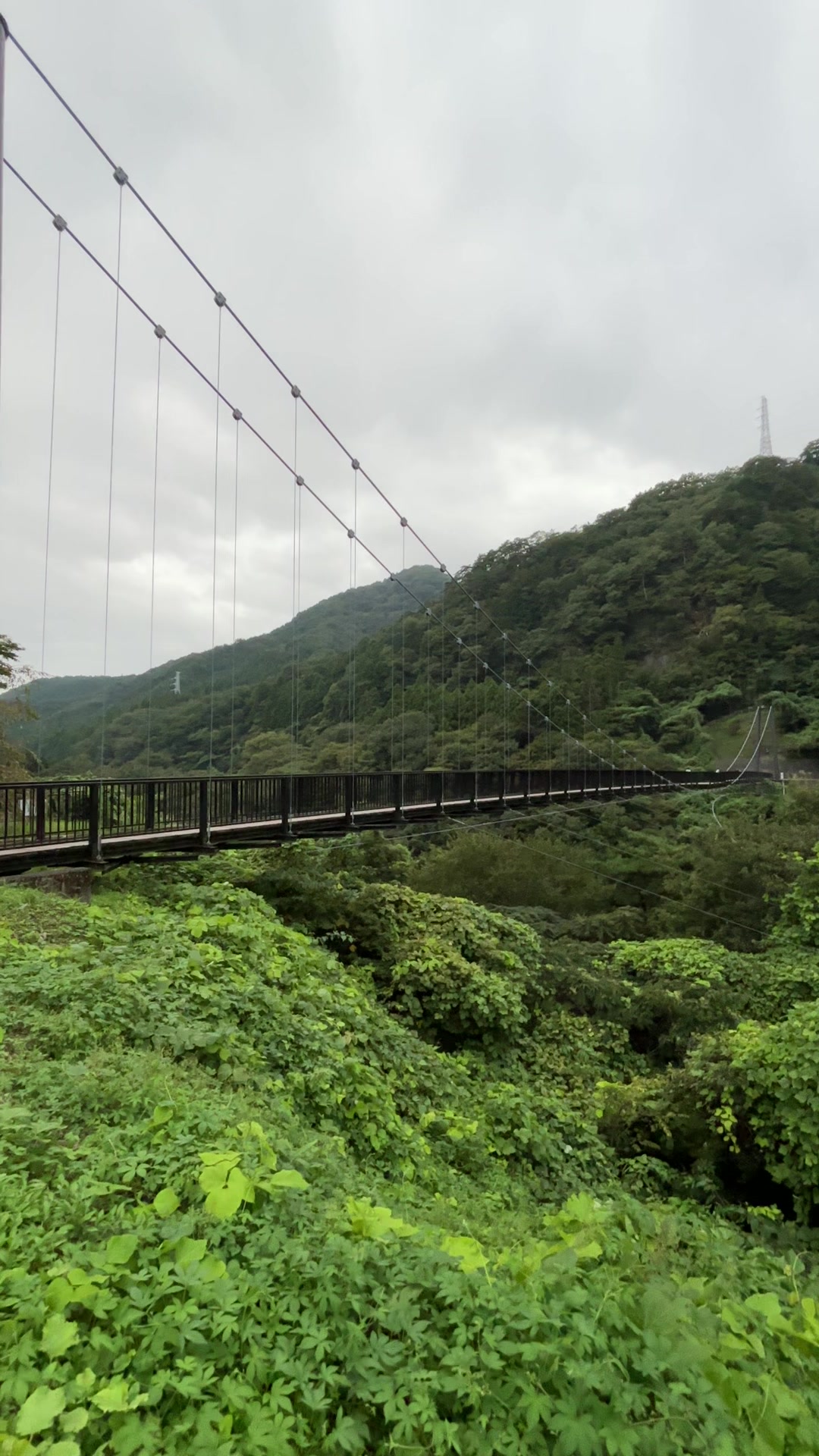 @YOHAKU.scenery