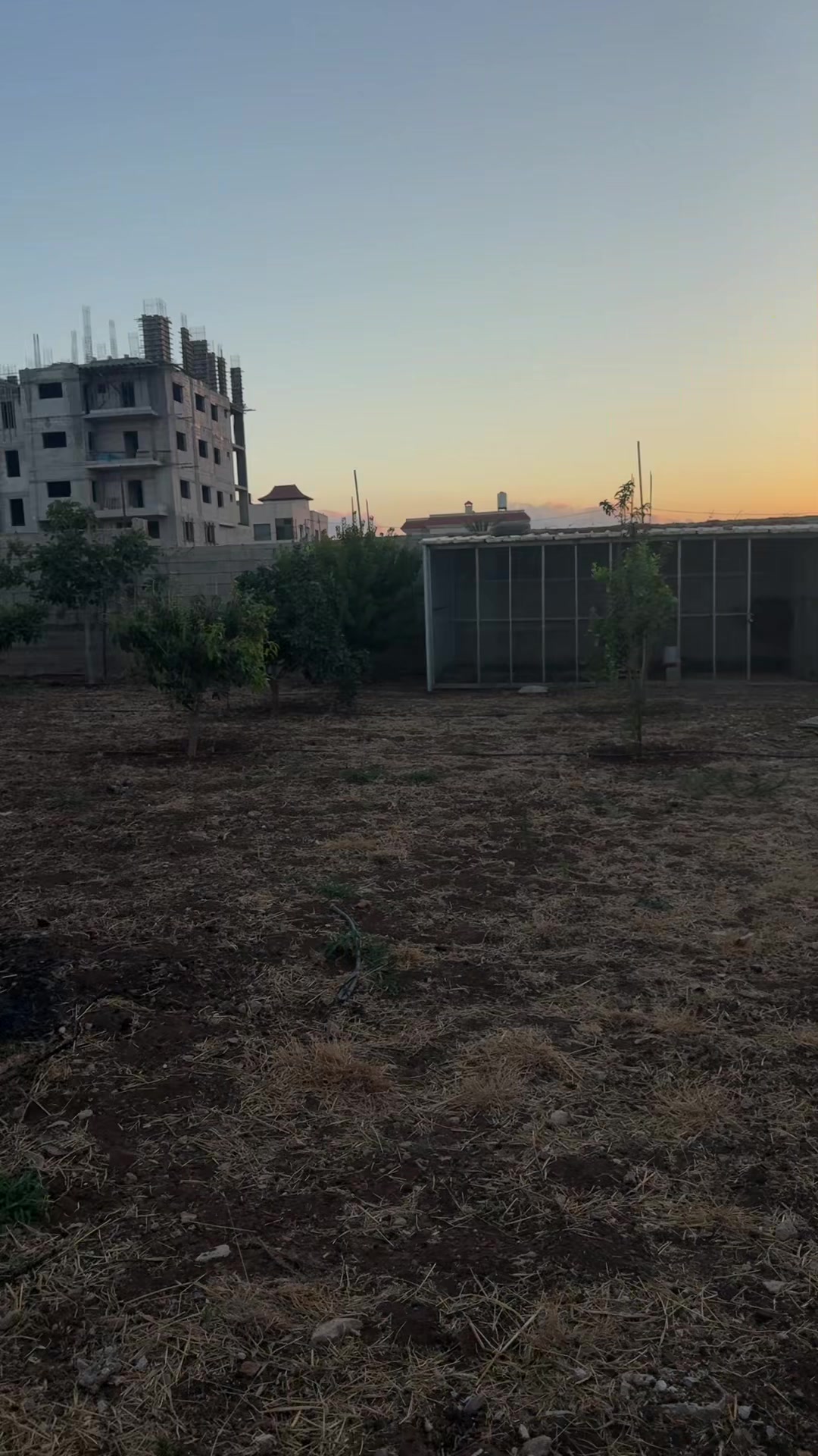 @dr mahdi shalbak