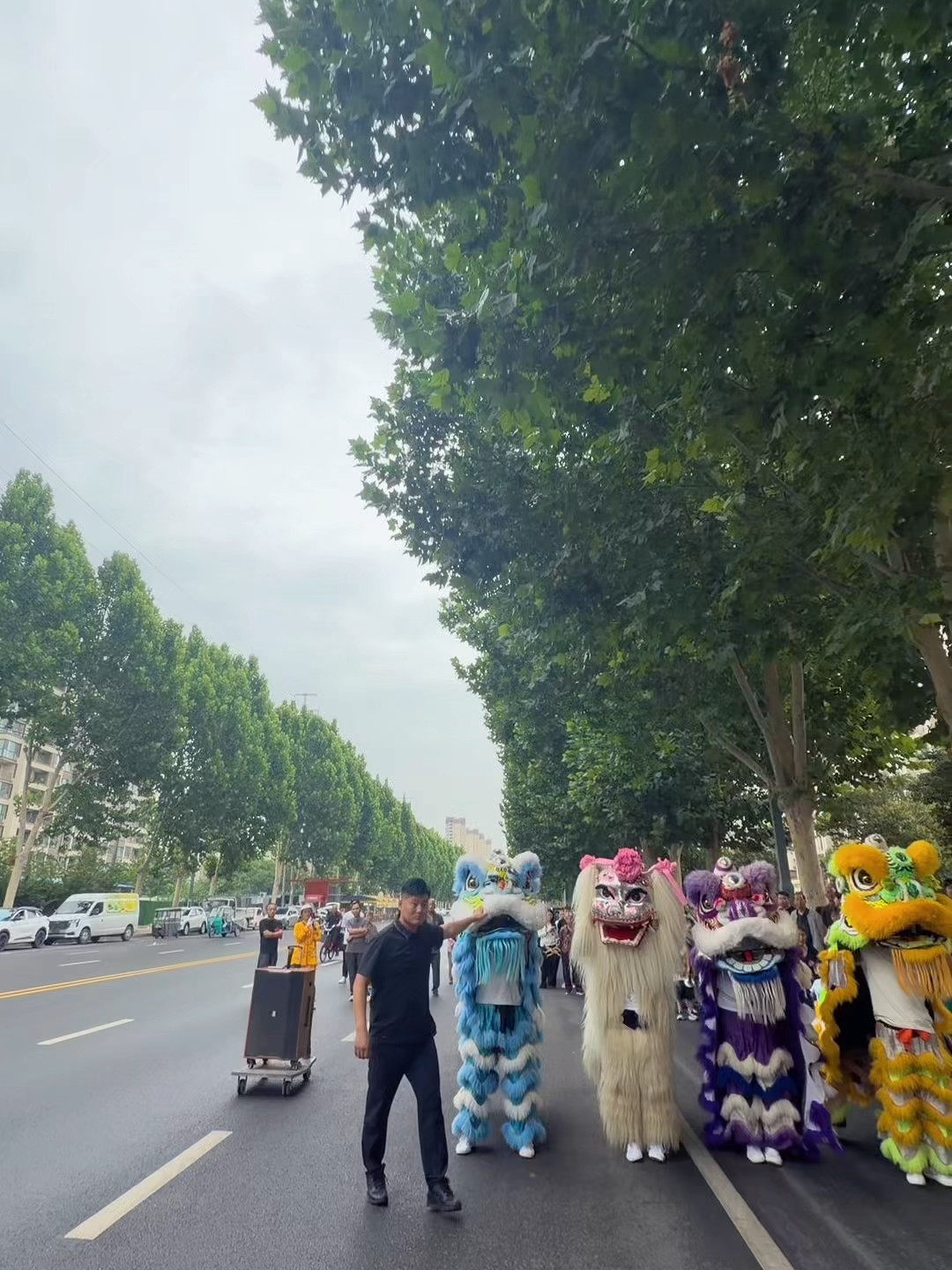 @Cốc Nguyệt Nương