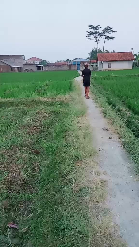 @al_frend.87