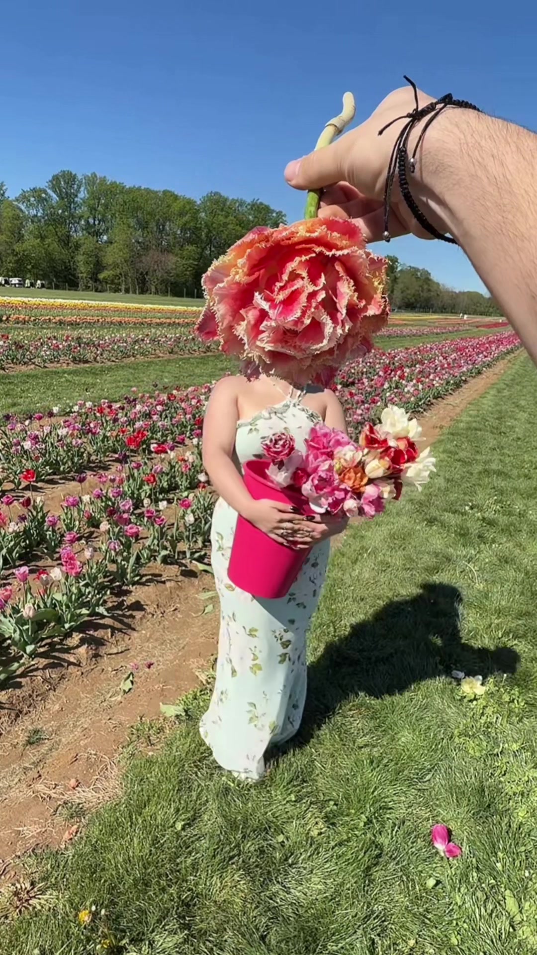 @Tony_b172