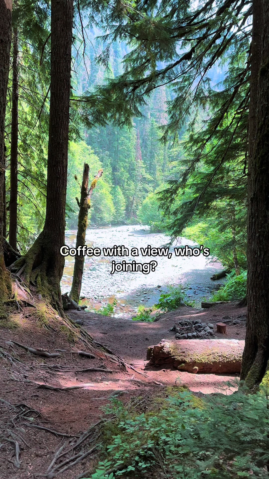 @🌲 James | WA 🏔️